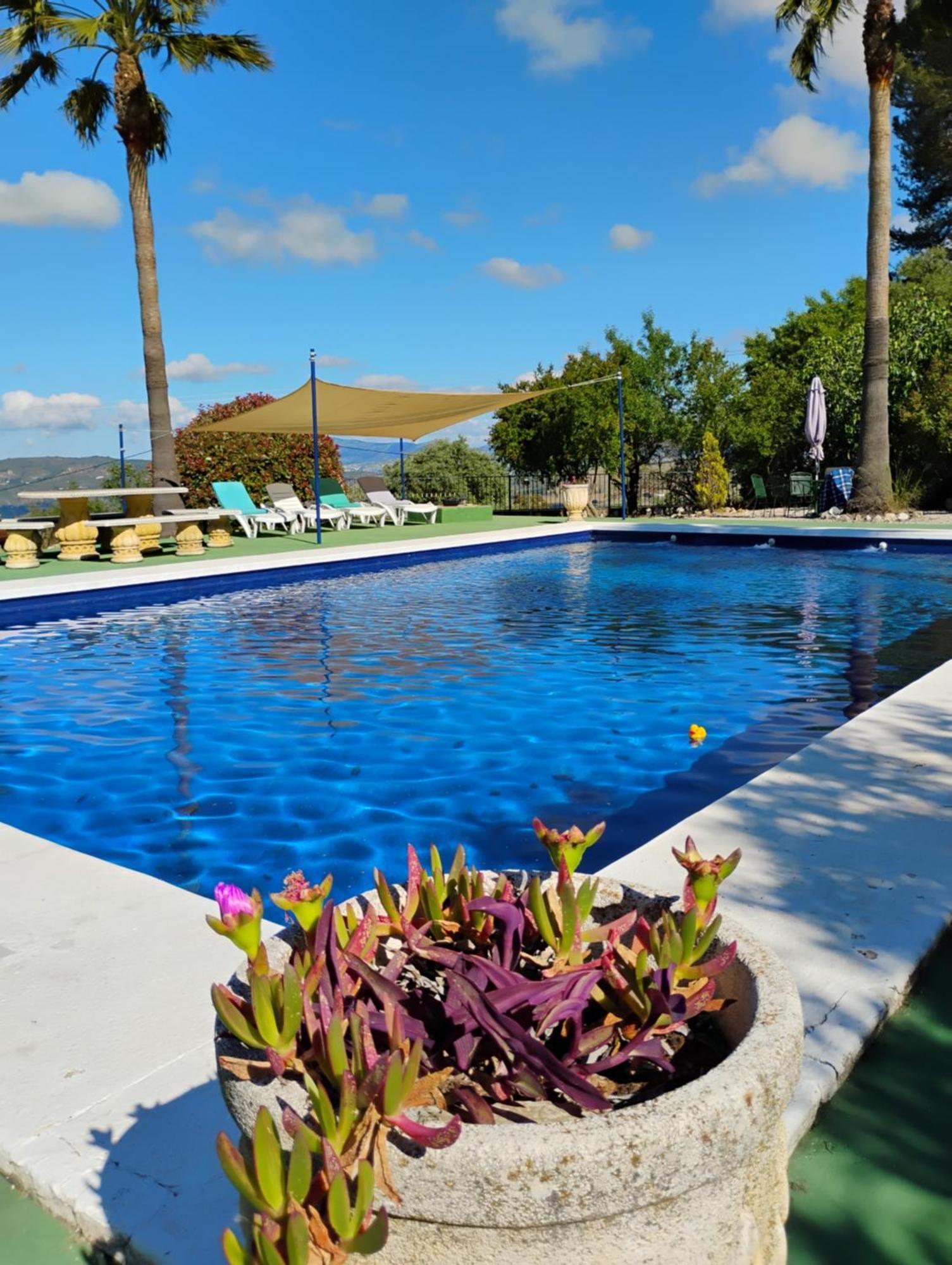 La Casita, Zagra Villa La Carrera de la Viña Eksteriør bilde