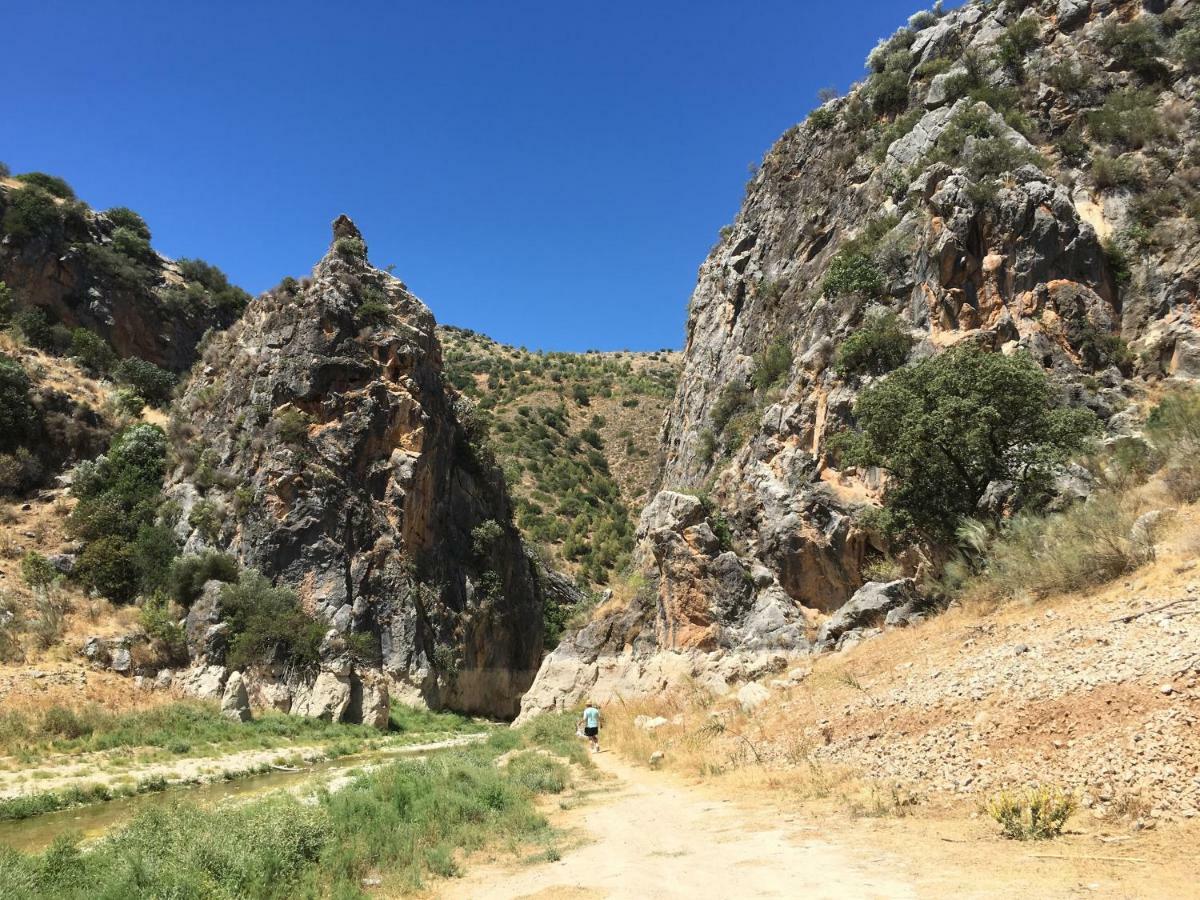 La Casita, Zagra Villa La Carrera de la Viña Eksteriør bilde