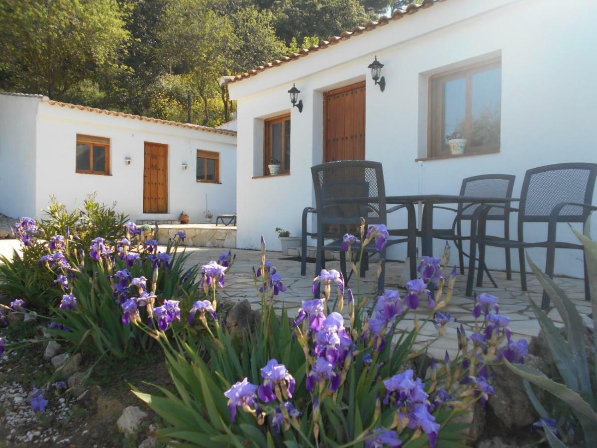 La Casita, Zagra Villa La Carrera de la Viña Eksteriør bilde
