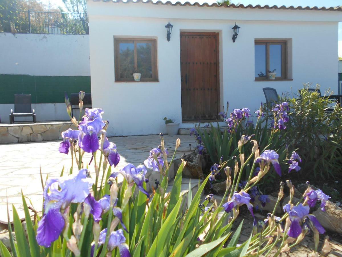 La Casita, Zagra Villa La Carrera de la Viña Eksteriør bilde