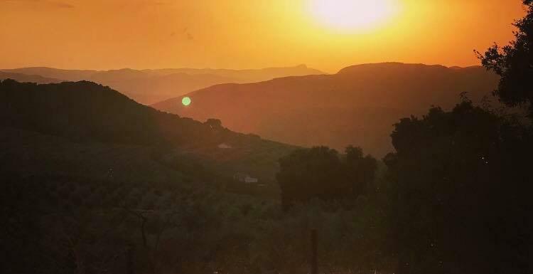 La Casita, Zagra Villa La Carrera de la Viña Eksteriør bilde
